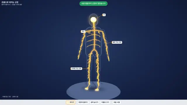 온몸으로 퍼지는 신경 3D 화면