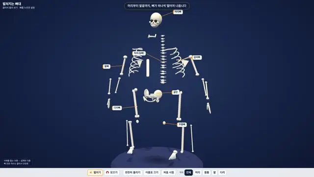 펼쳐지는 뼈대 3D 화면